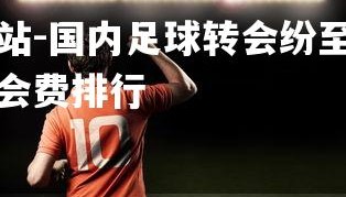 球王会体育官方网站-国内足球转会纷至沓来，球队备赛氛围佳，中国足球转会费排行