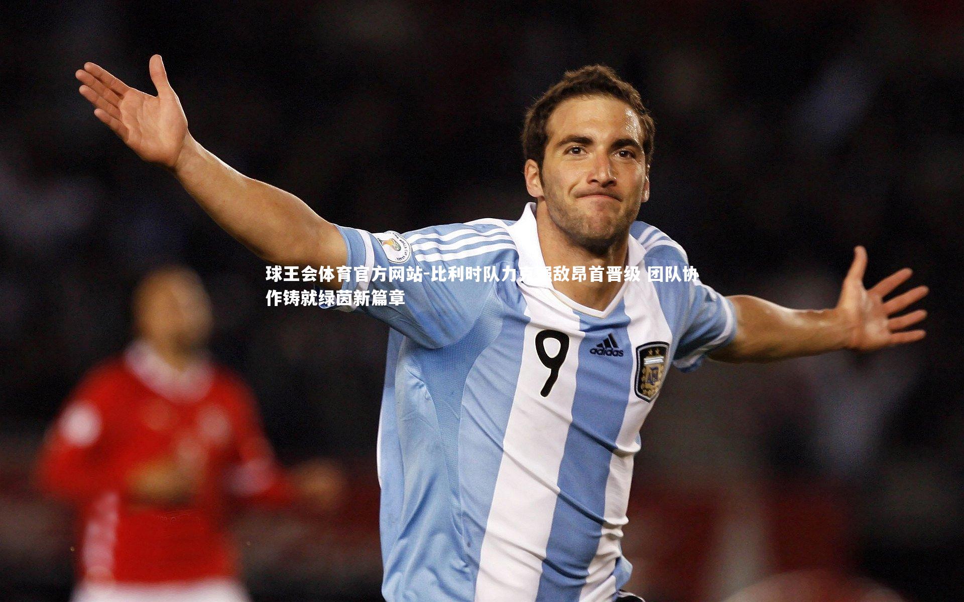 比利时队力克强敌昂首晋级 团队协作铸就绿茵新篇章